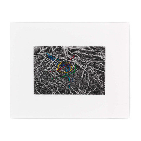 Tube Map 1 Limited Edition Artwork by Runa Islam