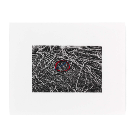 Tube Map 2 Limited Edition Artwork by Runa Islam