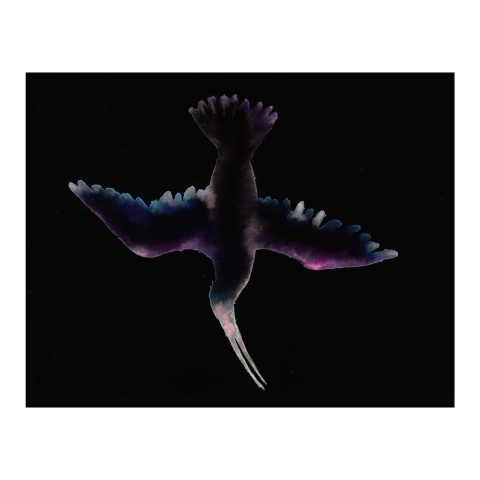 Wing-sleepers (Sandpiper) Artwork by Marianna Simnett